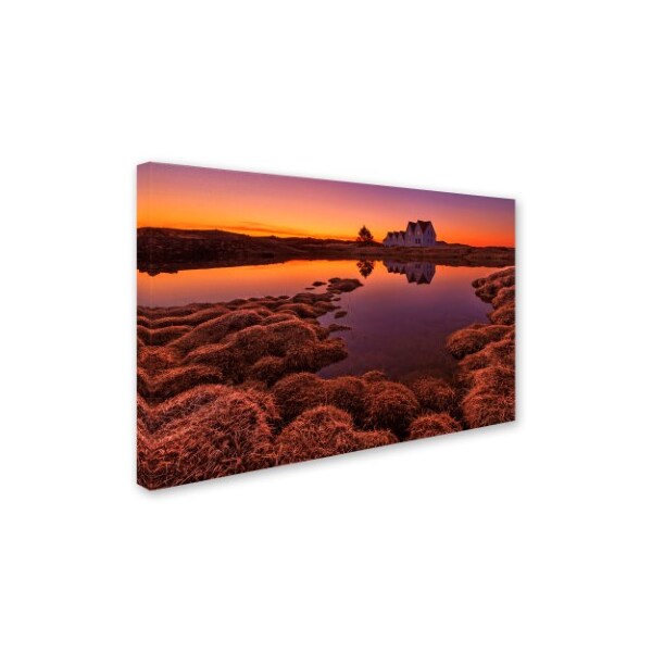 Bragi Ingibergsson 'Purple Sunset' Canvas Art,16x24